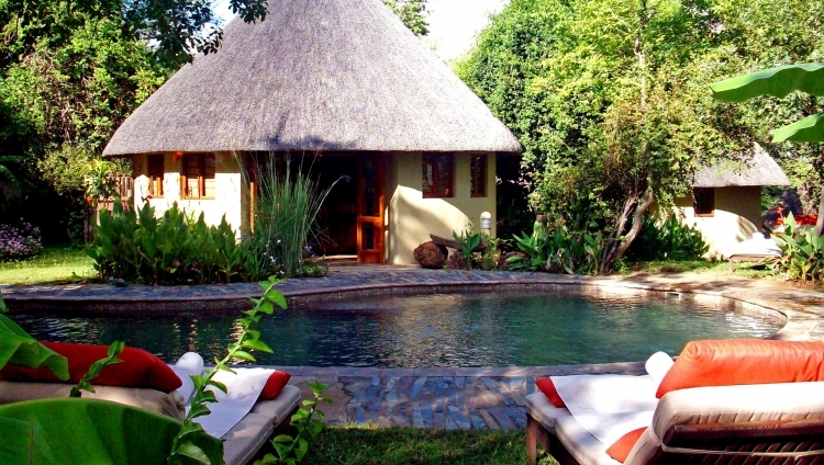 Divava Okawango Lodge - Pool